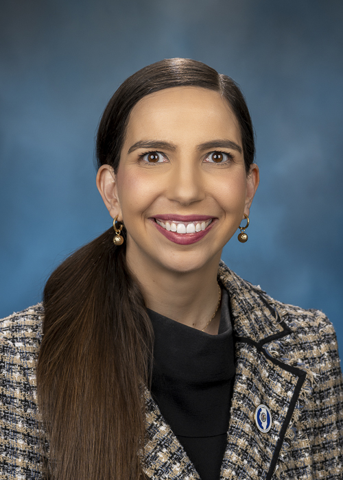 Photograph of Representative  Anne Stava (D)